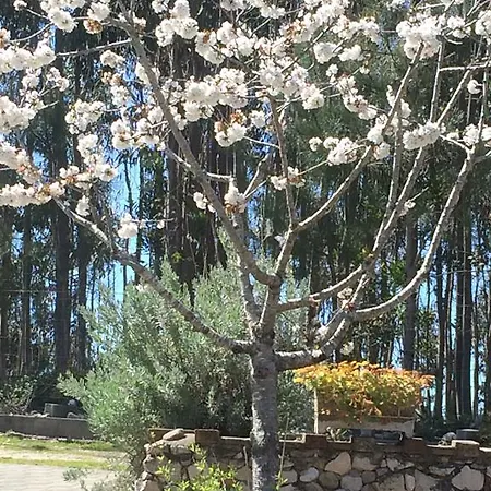 Ecobosque Holiday home