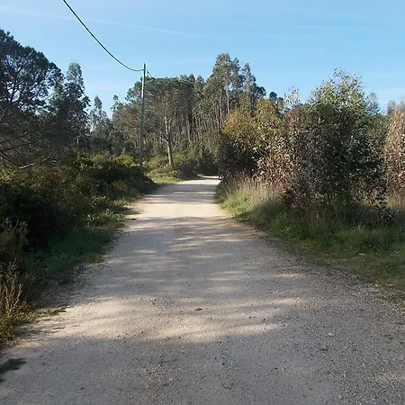 Ecobosque *