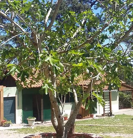 Ecobosque 度假居 Nadadouro