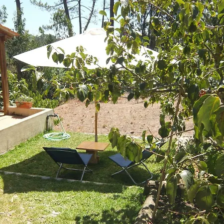 Ecobosque *