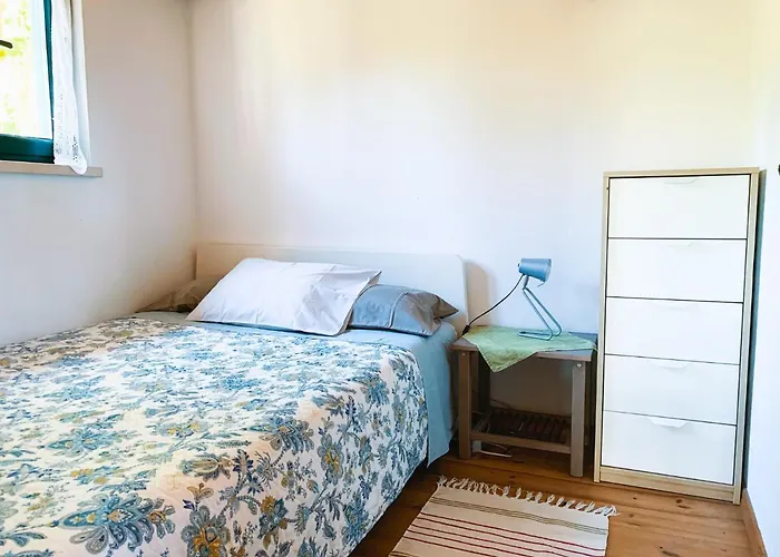 Nyaraló Ecobosque Nadadouro