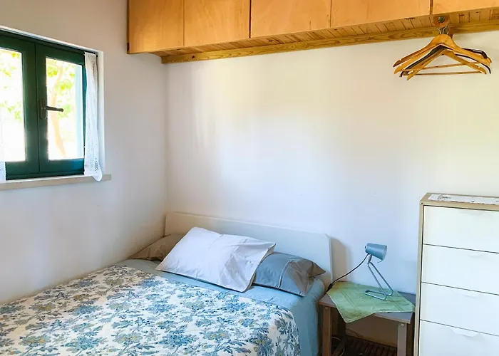 Ecobosque Nyaraló *