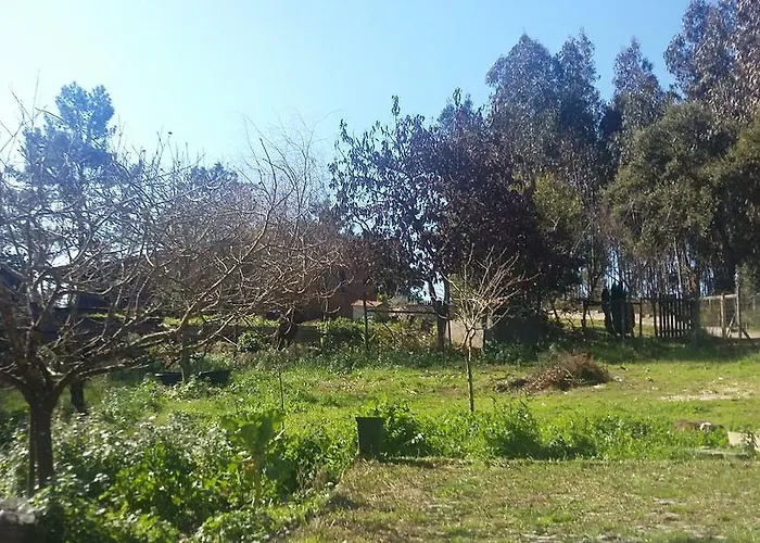 Ecobosque * Nadadouro